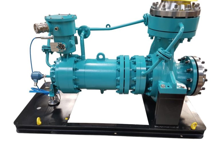 Canned motor pumps with synchronous motor