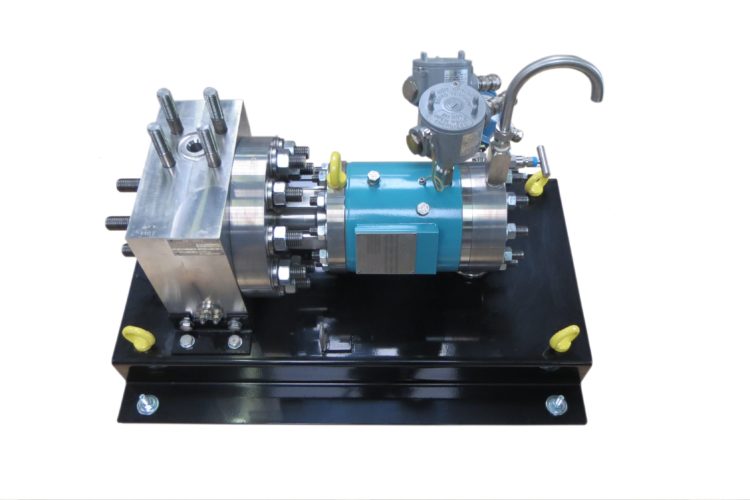 Canned motor pumps with synchronous motor